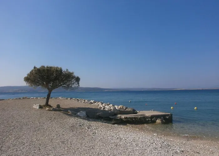 Svorcan * Crikvenica