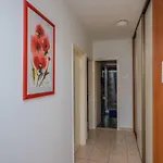 Svorcan Apartment
