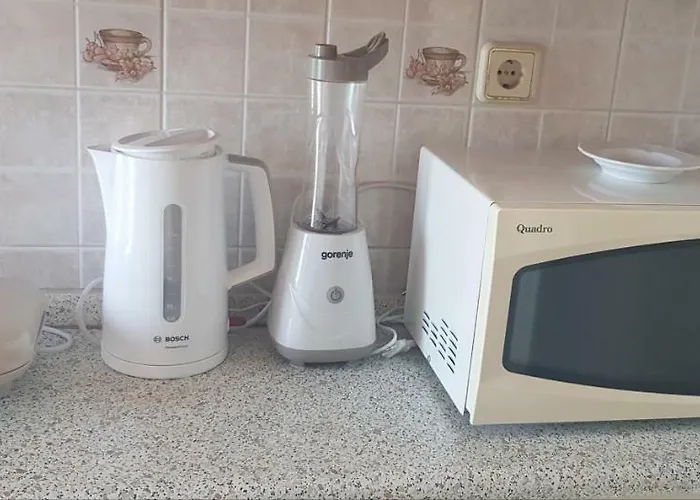 Svorcan Apartman Crikvenica